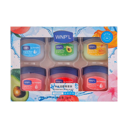 Hydrating Mini Lip Balm Set Healing Moisturizing All-natural Lip Mask For Lip Therapy for Soft, Smooth Lips