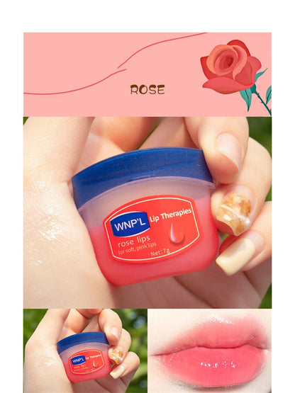 Hydrating Mini Lip Balm Set Healing Moisturizing All-natural Lip Mask For Lip Therapy for Soft, Smooth Lips